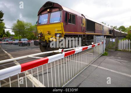 EWS treno al passaggio a livello grande Corby, Eden Valley, Cumbria, Inghilterra, Regno Unito. Foto Stock