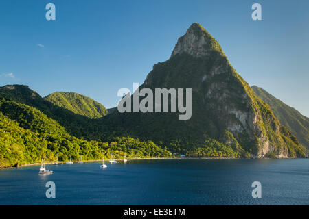 Petite Piton nei pressi di Soufriere, St. Lucia, West Indies Foto Stock