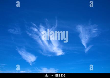 Cirrus nuvole nel cielo blu. Foto Stock