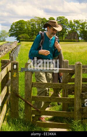 Escursionista presso stile Birdoswald vicino a Vallo di Adriano percorso, Sito del Patrimonio Mondiale, Cumbria, Inghilterra, Regno Unito. Foto Stock