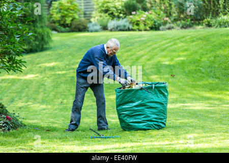 Alti uomini, Senior, metà 70, lavora in giardino, Foto Stock