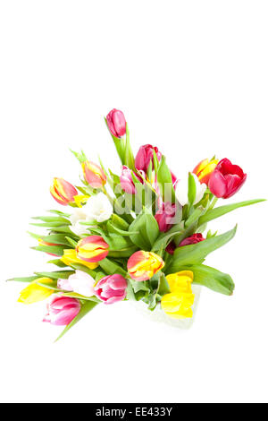 I tulipani con colori vivaci in un vaso su sfondo bianco Foto Stock