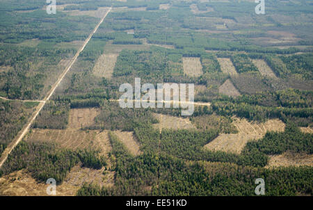 La perforazione delle foreste in chiaro-il taglio Foto Stock