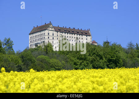 Europa, Deutschland, Baden-Wuerttemberg, Schloss, Heiligenberg, nahe Bodensee, Schlossanlage, Schlossgebaeude, Gebaeude, Bauwerk Foto Stock