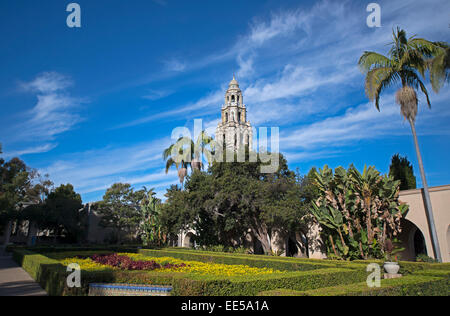 Alcazar giardino, California torre in background, Balboa Pack, San Diego, California USA Foto Stock