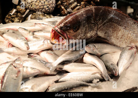 Venezia Mercato di Rialto, pesce fresco su uno stallo nella rinomata la mattina presto sul mercato. Foto Stock