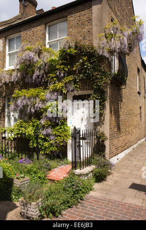 UK, Londra, Twickenham, inondazione Lane, il glicine-hung riverside terrazzati cottage Foto Stock