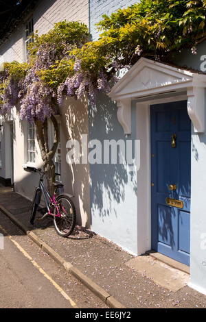 UK, Londra, Twickenham, Ferry Road, il glicine appeso a schiera porta cottage Foto Stock