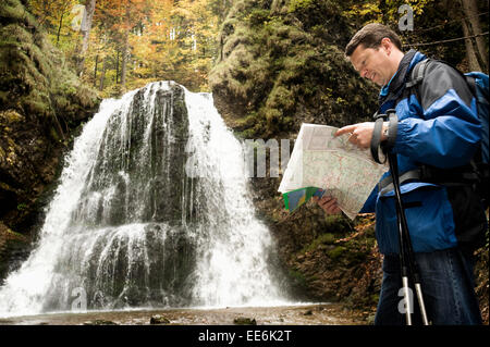 Uomo Mappa di lettura, Baviera, Germania, Europa Foto Stock