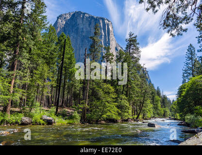 In California. Merced River e El Capitan di Southside Drive nella Yosemite Valley, Yosemite National Park, California, Stati Uniti d'America Foto Stock