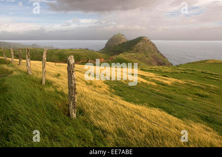 Paesaggio tra Kahakuloa Honokohau y. Maui. Hawaii. Testa di Kahakuloa e minore Pu'u Kahlui-anapa come visto da ovest ma Foto Stock