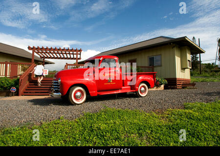 Vintage rosso personalizzato pickup truck crociera sul Ka'anapali azienda di caffè. Ka'anapali fattorie di caffè occupa un pezzo di ciò che era stato onc Foto Stock