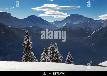Mountains seen from Riederalp and snow covered spruce trees in winter in the Swiss Alps, Wallis / Valais, Switzerland Foto Stock