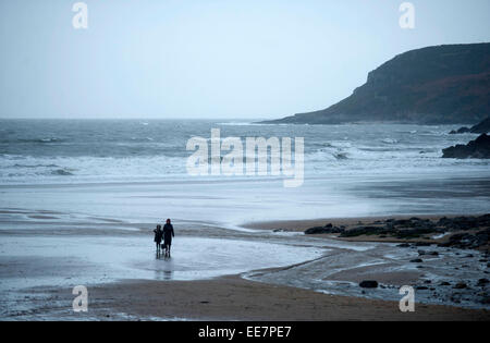 Swansea, Wales, Regno Unito. 14 gennaio, 2015. Regno Unito Meteo: un giovane a piedi il loro cane al Caswell Bay vicino a Swansea questo pomeriggio in quanto il tempo comincia a deteriorarsi. Credito: Phil Rees/Alamy Live News Foto Stock