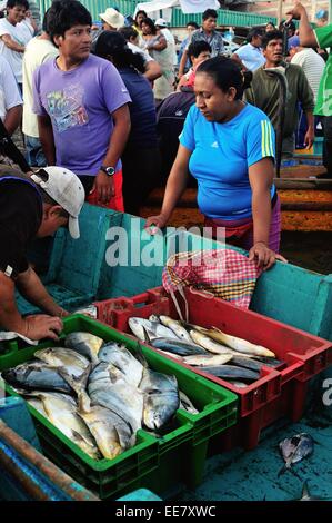 Pampano chiri, pesce - Porto di Puerto Pizarro. Dipartimento di Tumbes .PERÙ Foto Stock