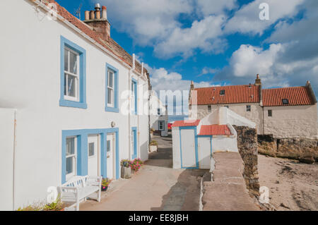 Case di pescatori West Shore Pittenweem Fife Scozia Scotland Foto Stock