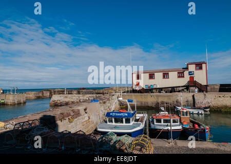 Le barche nel porto di ST Abbs Scottish Borders in Scozia con RNLI scialuppa di salvataggio station Foto Stock