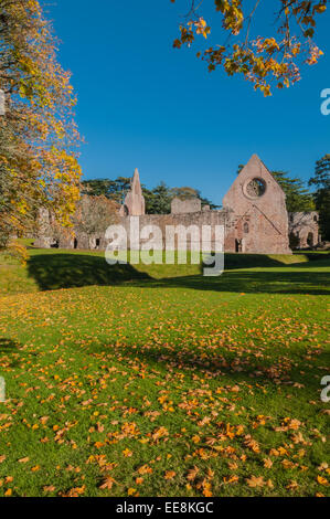 I colori autunnali Dryburgh Abbey Dryburgh Scottish Borders Scotland Foto Stock