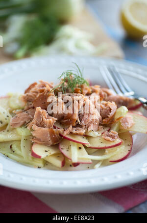 Bella mela fresca insalata di finocchio con salmone e vinaigrette di Digione Foto Stock