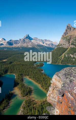 Affacciato sul lago O'Hara e Maria Lake, il Parco Nazionale di Yoho, British Columbia, Canada Foto Stock