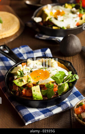 In casa Heuvos Rancheros con Avocado e coriandolo Foto Stock