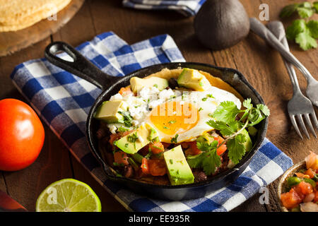 In casa Heuvos Rancheros con Avocado e coriandolo Foto Stock