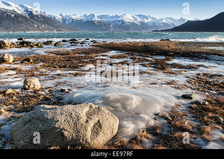 Ghiaccio su un Alaskan spiaggia vicino Haines, Alaska in inverno. Foto Stock