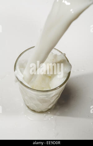 Versare il latte in un bicchiere isolata contro uno sfondo bianco Foto Stock
