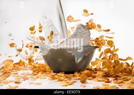 Corn flakes con latte versando dal vetro Foto Stock