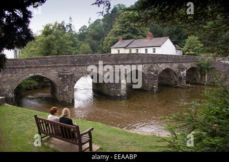 Dulverton e Exmoor comprendente un gruppo di Exmoor pony, Devonshire, REGNO UNITO Foto Stock