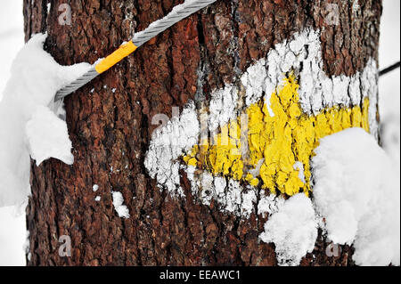 Una freccia gialla segnando un sentiero escursionistico su un albero in inverno Foto Stock