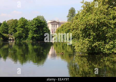 Buckingham Palace da St. James Park a Londra, Regno Unito Foto Stock