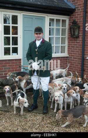 Hill Top Farm, Oakham, Rutland, UK. Il 15 gennaio, 2015. Huntsman, Stuart Harrison, con la Pipewell brachetti pack all'incontro tenutosi a Hill Top Farm, Oakham, Rutland, Inghilterra. Credito: Jim Harrison/Alamy Live News Foto Stock