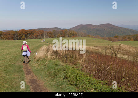 Vista panoramica di escursionisti a piedi attraverso i pittoreschi monti Appalachi in autunno Foto Stock