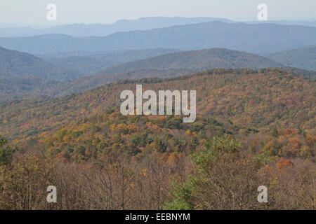 Vista panoramica che si affaccia sulla pittoresca Monti Appalachi vestito con i colori autunnali, Max Patch, Carolina del Nord Foto Stock