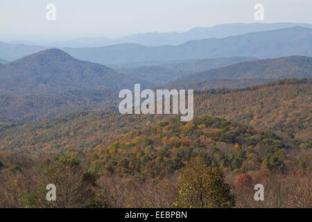 Vista panoramica che si affaccia sulla pittoresca Monti Appalachi vestito con i colori autunnali, Max Patch, Carolina del Nord Foto Stock