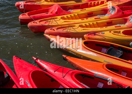 Un outfitter il kayak lungo il fiume russo vicino alla sua bocca all'Oceano Pacifico, Jenner, CALIFORNIA, STATI UNITI D'AMERICA Foto Stock