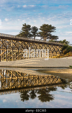 Il pudding Creek traliccio, ora parte di dieci miglia di spiaggia sentiero lungo l'Oceano Pacifico vicino a Fort Bragg, CALIFORNIA, STATI UNITI D'AMERICA Foto Stock