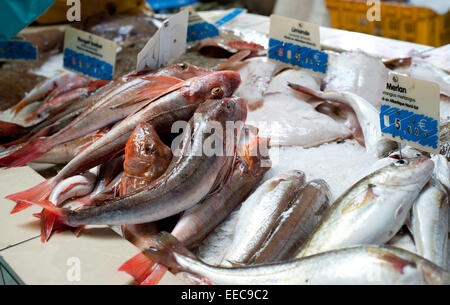 Pesce fresco sul ghiaccio nel mercato del paese Foto Stock