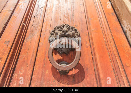 Una porta respingente sulla testa di leone Foto Stock