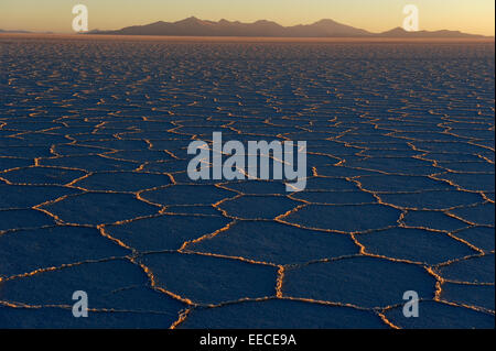Modelli esagonale nel tratto di sale all'orizzonte in tutto il mondo la più grande distesa di sale, il Salar de Uyuni in Bolivia, uno h Foto Stock