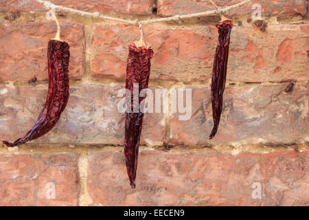 Peperoncino rosso su una corda appesa ad asciugare Foto Stock