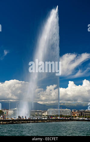 Il gigante fontana Jet d'eau nella rada area portuale, Ginevra, Svizzera Foto Stock