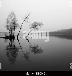 Paesaggi, nero, riflessione, bianco, speculare, acqua, natura, pattern, alberi, piante, lago Foto Stock