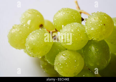 Le uve con gocce di acqua Foto Stock