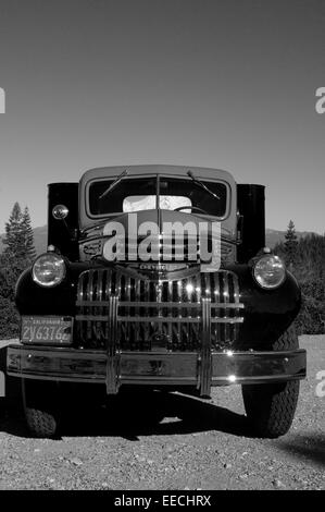 Immacolata 1950 seppia silver chrome Chevrolet pick up truck con Ghirlanda di Natale sul parafango Mount Shasta & redwoods Foto Stock