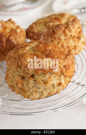 Focaccine di formaggio una gustosa varietà di più dolce tradizionale scone Foto Stock