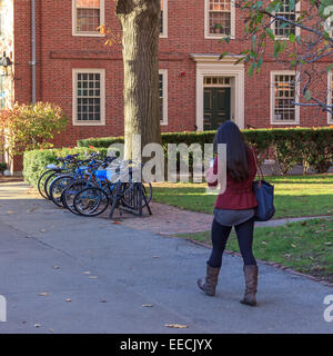 CAMBRIDGE, MA, Stati Uniti d'America - 12 novembre 2010: Lo studente a piedi attraverso Harvard Yard, il cuore antico della Harvard University campus. Foto Stock