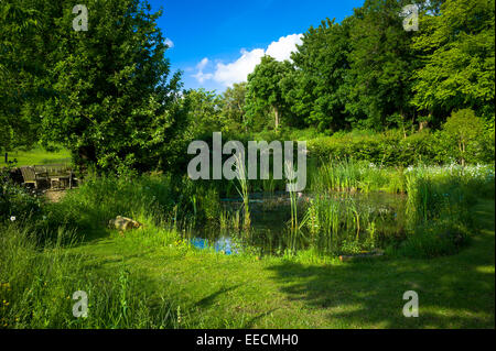 Giardino stagno della fauna selvatica in estate nel giardino di campagna in Swinbrook, il Costwolds, England, Regno Unito Foto Stock