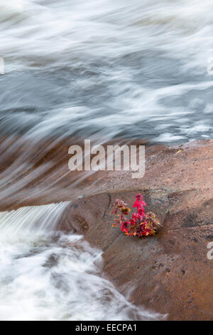 La nana in acero, Onaping Falls, città di maggiore Sudbury, Ontario, Canada Foto Stock